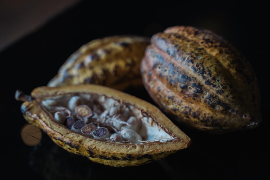 Cocoa Pods